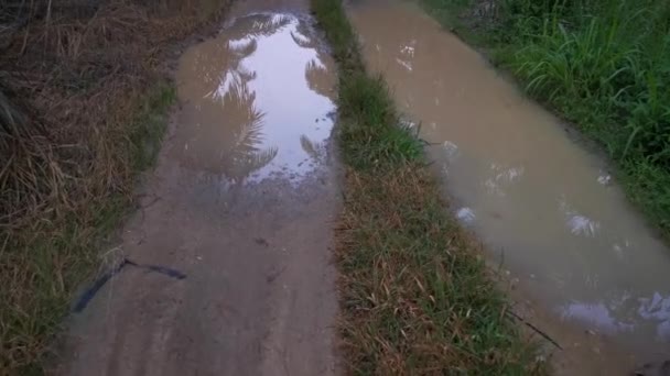 Yağmurdan Sonra Taşra Çakıl Yolundaki Durgun Yağmur Suyu Havuzunun Görüntüleri — Stok video