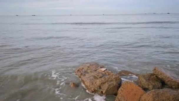 Záběry Ranní Scény Mangrovové Pláži Během Přílivu Odlivu — Stock video