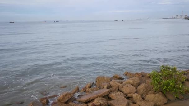 海潮期间红树林海滩的清晨场景片段 — 图库视频影像