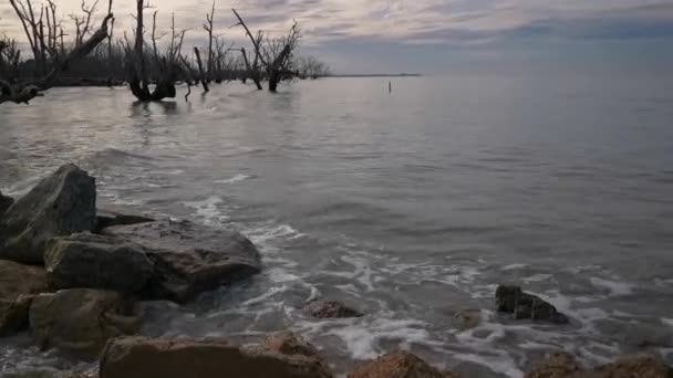 Sabahın Erken Saatlerinde Deniz Kabardığı Sırada Mangrove Sahilinde Çekilmiş Görüntüler — Stok video