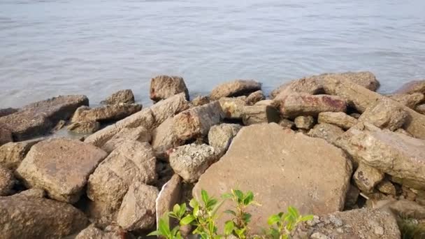 Filmagens Cena Matinal Praia Mangue Durante Maré Alta Mar — Vídeo de Stock