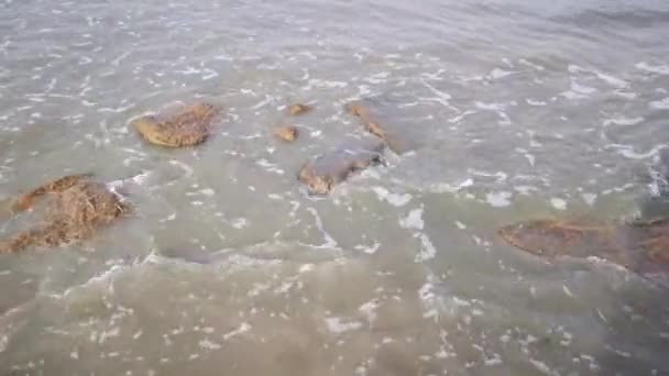 Sabahın Erken Saatlerinde Deniz Kabardığı Sırada Mangrove Sahilinde Çekilmiş Görüntüler — Stok video