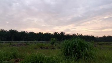 Kırsal kesimdeki kasvetli sabah gökyüzünün zamanının görüntüsü..