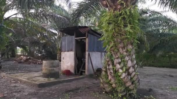 Footage Scene Nostalgic Outdoor Asian Rural Bathroom — Stock Video