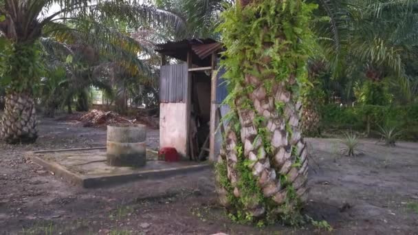 Footage Scene Nostalgic Outdoor Asian Rural Bathroom — Stock Video