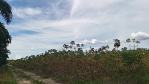 Timelapse Felvétel Nappali Kék Felhős Vidéken — Stock videók