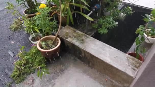 Záběry Silného Lijáku Deště Před Verandou — Stock video