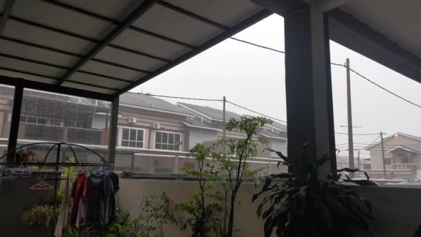 Footage Heavy Downpouring Rain Porch — Stock Video