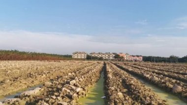 Tapyoka tarım tarımı için saban arazisinin görüntüleri. 