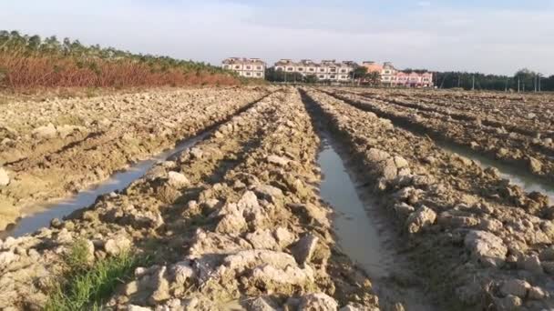 用于木薯农业耕作的犁地的镜头 — 图库视频影像