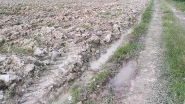 Tapyoka tarım tarımı için saban arazisinin görüntüleri. 