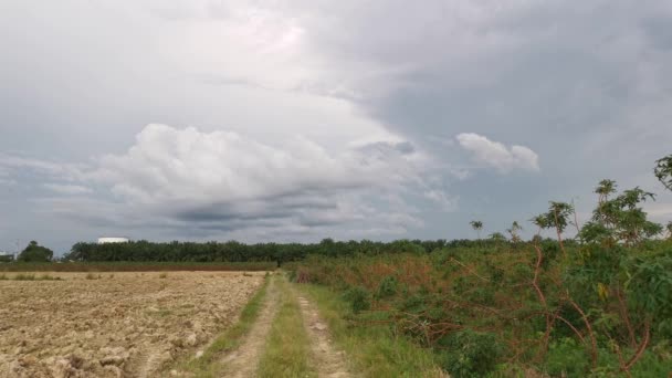 Timelapse Del Cielo Nublado Azul Diurno Movimiento Campo Granja Tapioca — Vídeos de Stock