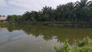 Bulutlu bir sabahta göldeki yansımanın görüntüleri..