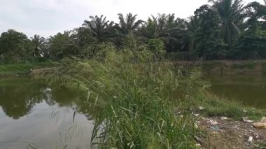 Bulutlu bir sabahta göldeki yansımanın görüntüleri..