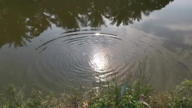 Bulutlu bir sabahta göldeki yansımanın görüntüleri..