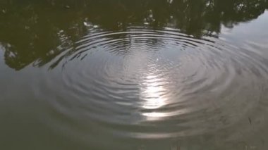 Bulutlu bir sabahta göldeki yansımanın görüntüleri..