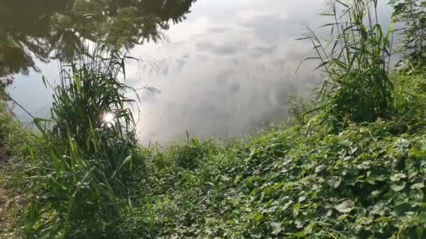 Imagens Reflexão Sobre Lagoa Manhã Nublada — Vídeo de Stock