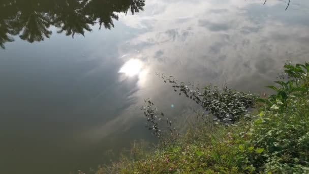 Imagens Reflexão Sobre Lagoa Manhã Nublada — Vídeo de Stock