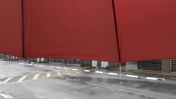 Видеозапись Дождя Асфальтовой Улице — стоковое видео