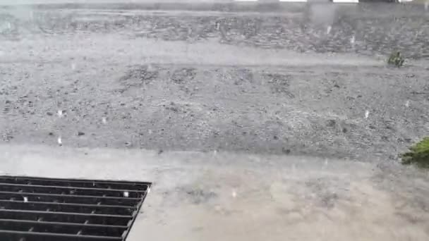 アスファルト街での雨の映像シーン — ストック動画