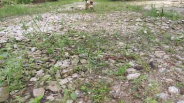 Bilinmeyen bir kişinin ıslak çakıl otlarının üzerinde koşarken görüntüsü kırsal yolda..