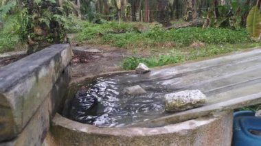 Yüzeydeki yağmur suyunun dalgalanma ve sıçrama görüntüsü..