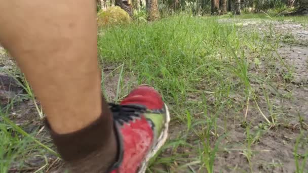 Imagens Uma Pessoa Desconhecida Andando Sobre Ervas Daninhas Lamacentas Estrada — Vídeo de Stock
