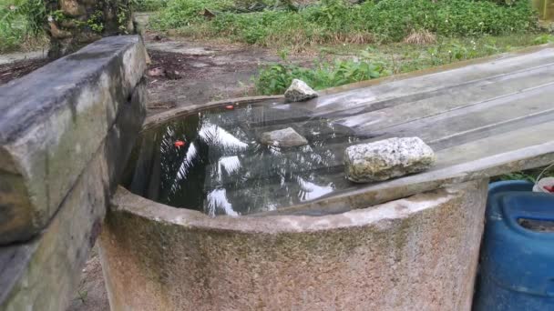 Záběry Mycí Ruky Betonové Studni Plné Vody — Stock video