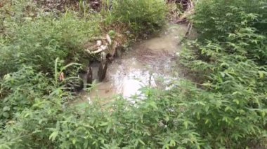 Kayanın ya da taşın kirli yağmur suyu havuzunun yüzeyine çarptığını gösteren görüntüler..