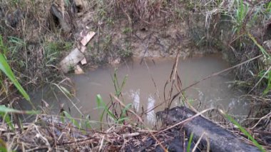 Kayanın ya da taşın kirli yağmur suyu havuzunun yüzeyine çarptığını gösteren görüntüler..