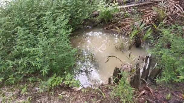 岩石或石头撞击脏水水池表面的镜头 — 图库视频影像