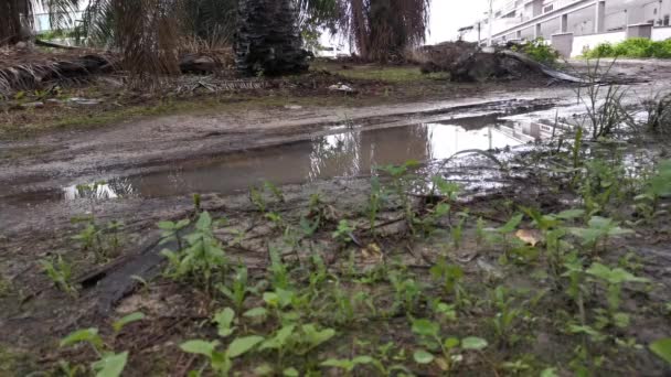 Beelden Van Het Lopen Het Zwembad Van Modderige Plas Water — Stockvideo