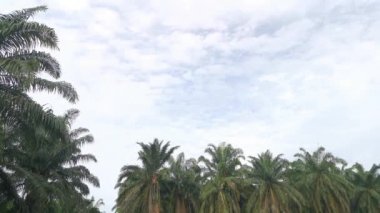 Güzel mavi gökyüzünün görüntüleri