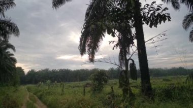 Karanlık kasvetli sabah gökyüzünün görüntüleri