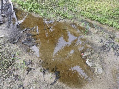 Kırsal yolda yansıtıcı su birikintisi.