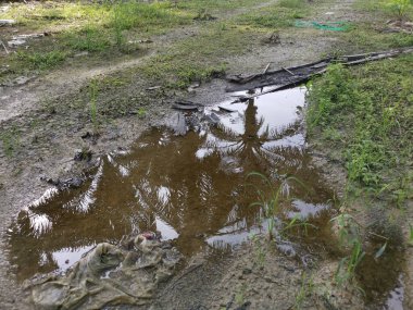 Kırsal yolda yansıtıcı su birikintisi.