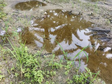 Kırsal yolda yansıtıcı su birikintisi.