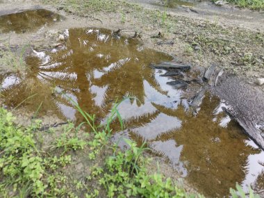 Kırsal yolda yansıtıcı su birikintisi.