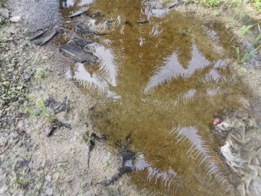 Kırsal yolda yansıtıcı su birikintisi.