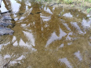 Kırsal yolda yansıtıcı su birikintisi.