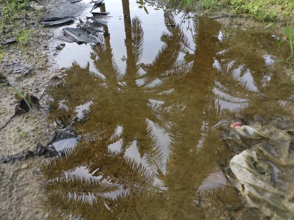 Kałuża Refleksyjna Szlaku Wiejskim — Zdjęcie stockowe