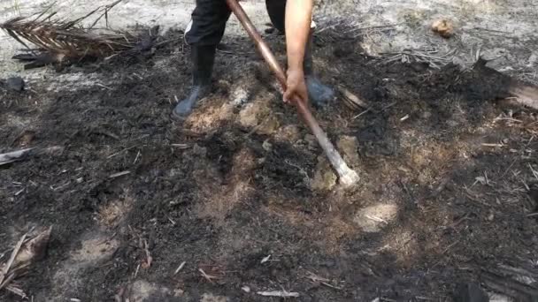 Footage Clearing Weeds Soil Hoe Tool — Stock Video