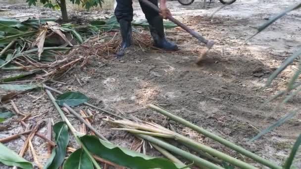 用锄头清除土壤中杂草的镜头 — 图库视频影像