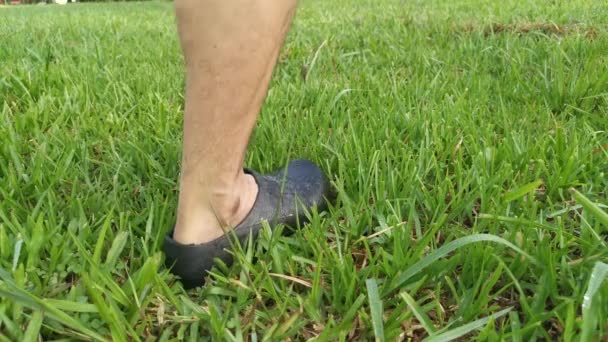 Footage Someone Walking Green Grass — Stock Video