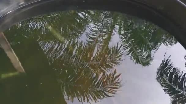 Кадри Денного Неба Водяній Поверхні Чорного Поліуретану — стокове відео