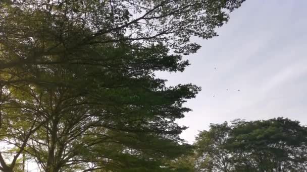 Кадры Красивого Голубого Неба — стоковое видео