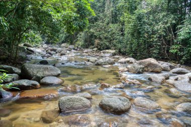 Kayalık nehirden akan su