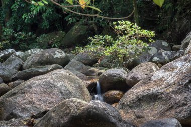Kayalık nehirden akan su