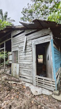 Dışardaki ve içerideki izole edilmiş, harap olmuş ve bakımsız bir ahşap kulübe..