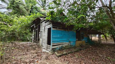 Dışardaki ve içerideki izole edilmiş, harap olmuş ve bakımsız bir ahşap kulübe..
